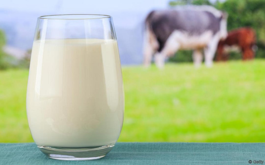 Tények és tévhitek a táplálkozásról I. – A tej